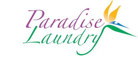 paradise laundry logo